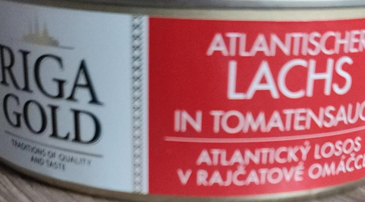 Fotografie - Atlantický losos v rajčatové omáčce Riga Gold
