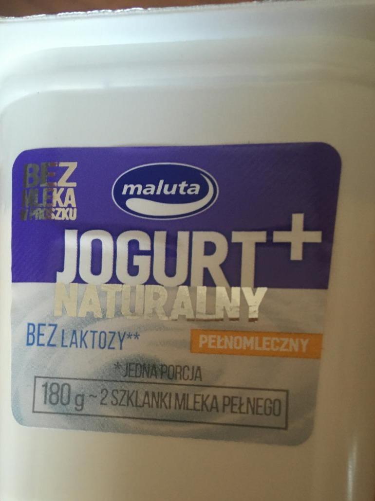 Fotografie - Jogurt+ naturalny pełnomleczny bez laktozy