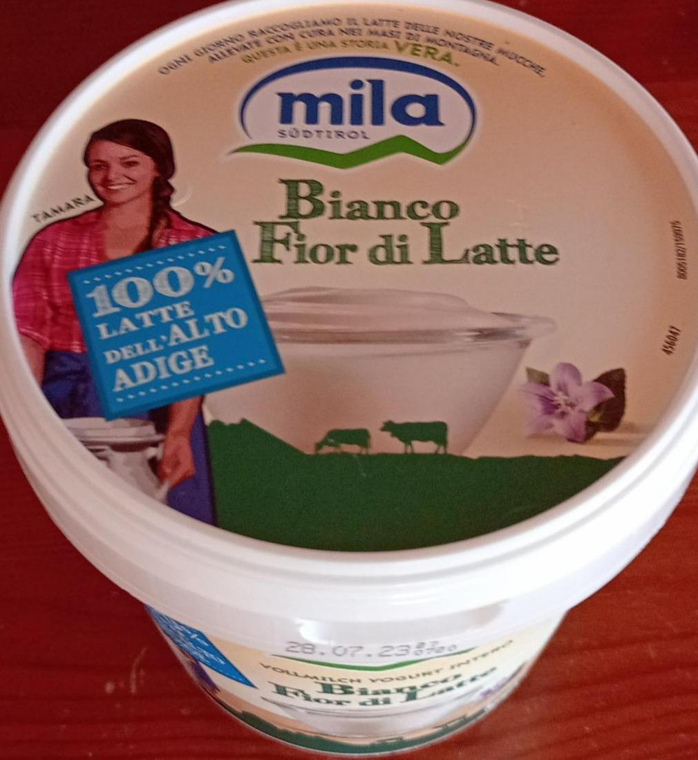 Fotografie - Bianco Fior di Latte Mila Südtirol