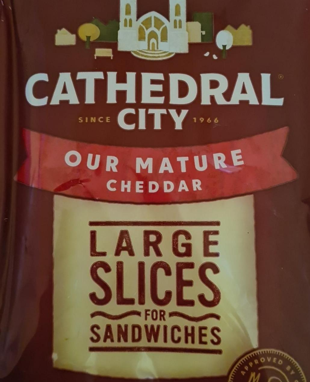 Fotografie - Our Mature Cheddar Cathedral city