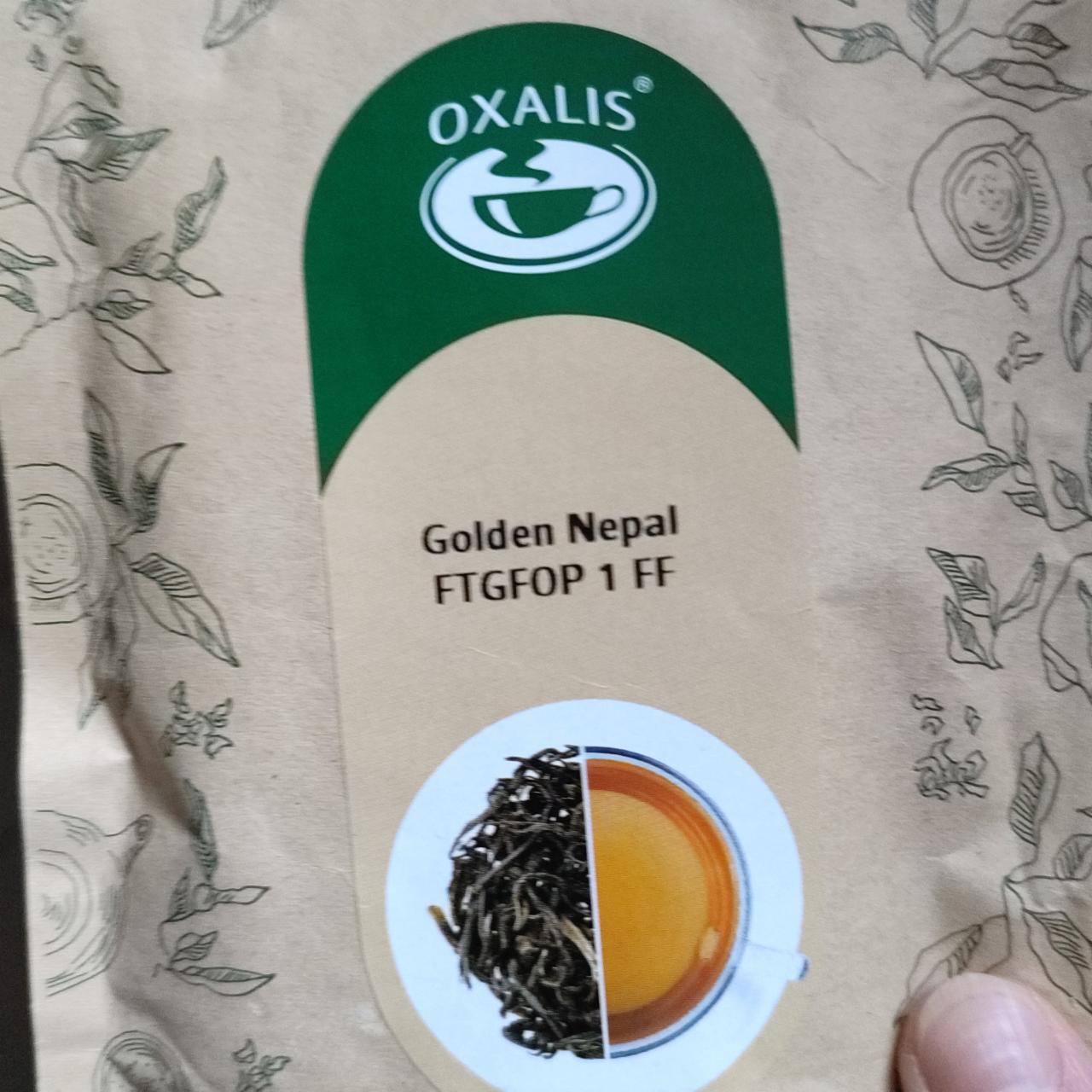 Fotografie - Golden Nepal Oxalis