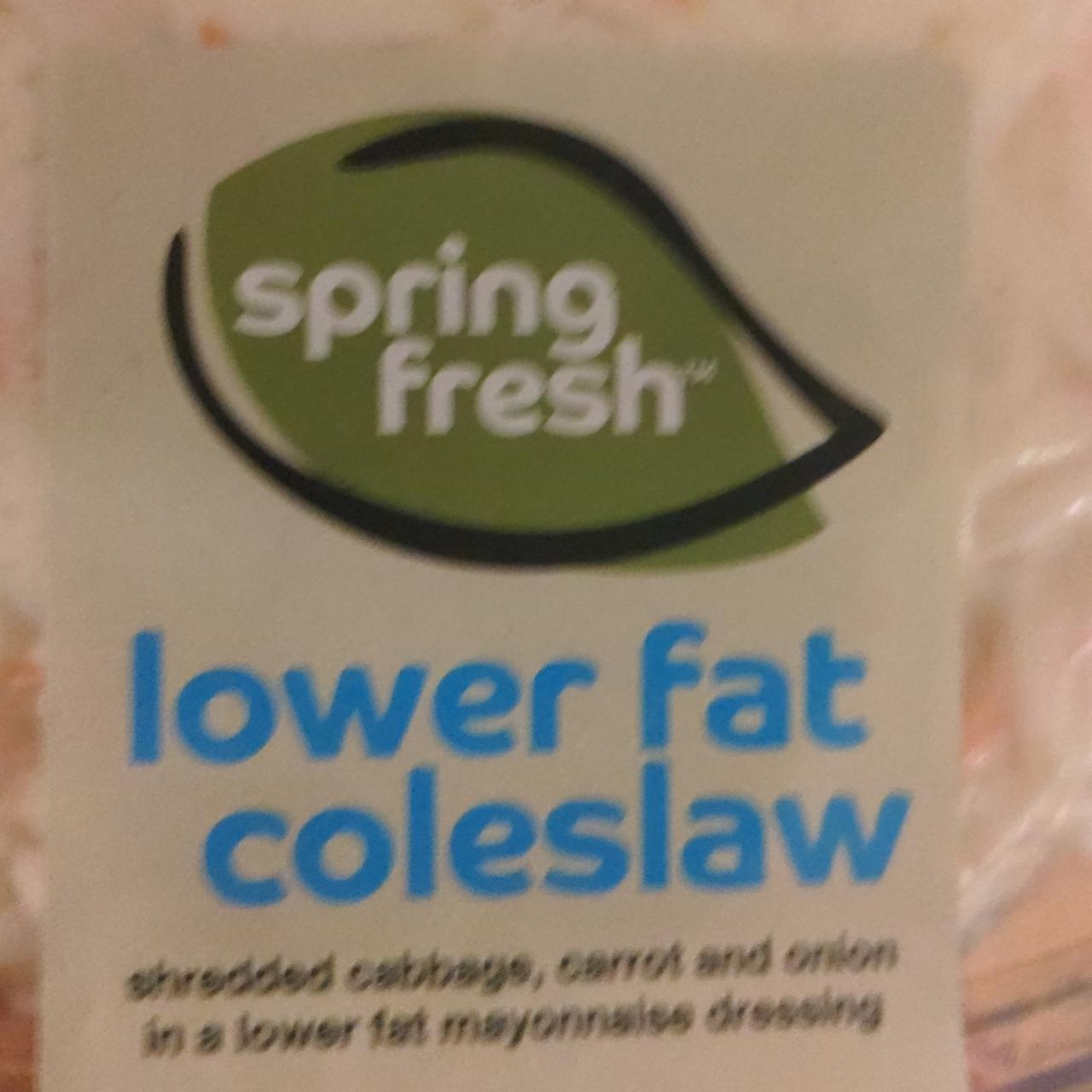 Fotografie - Low Fat Coleslaw Spring Fresh