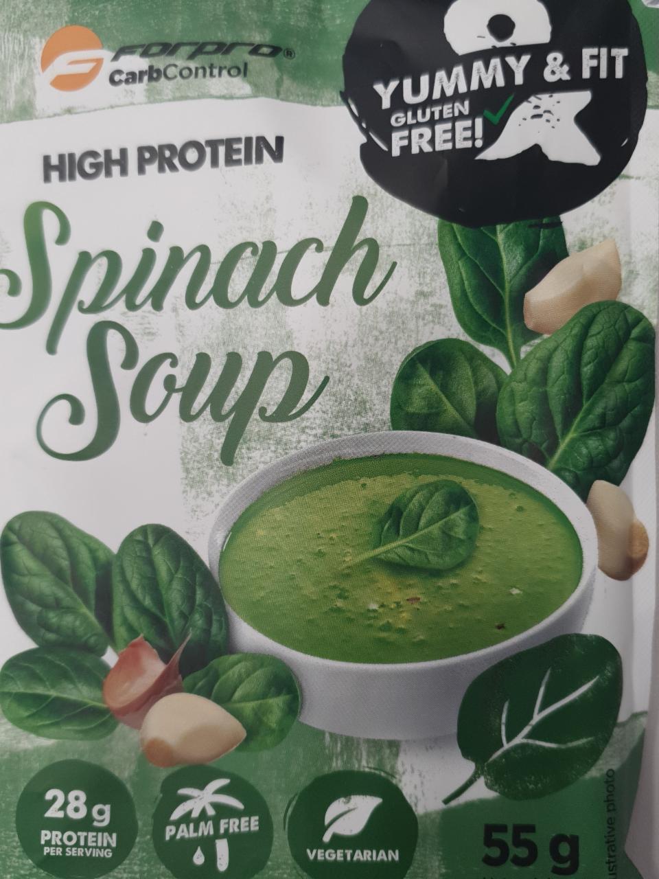 Fotografie - Spinach Soup Forpro
