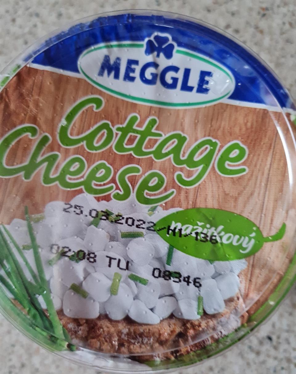 Fotografie - Cottage Cheese pažitkový Meggle