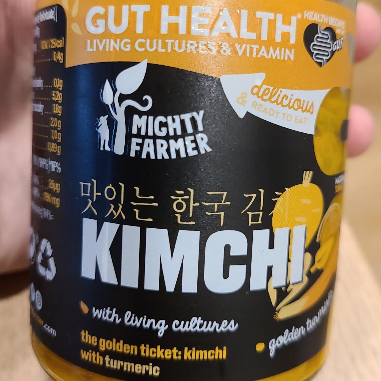 Fotografie - Kimchi Gut Health