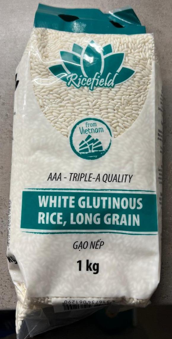 Fotografie - White Glutinous Rice, Long Grain Ricefield