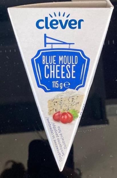 Fotografie - Blue mould cheese Clever