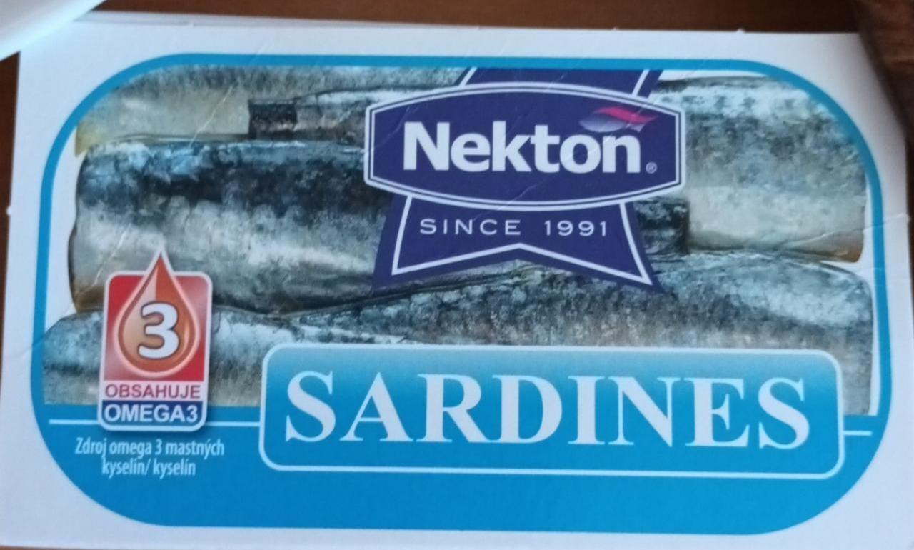 Fotografie - Sardines in brine Nekton