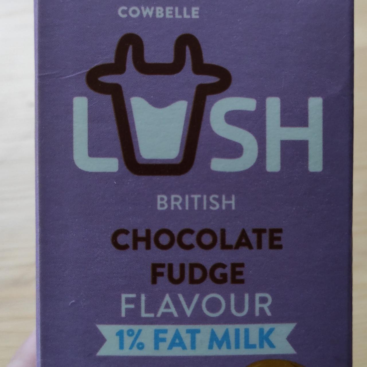 Fotografie - Lush british Chocolate fudge flavour Cowbelle