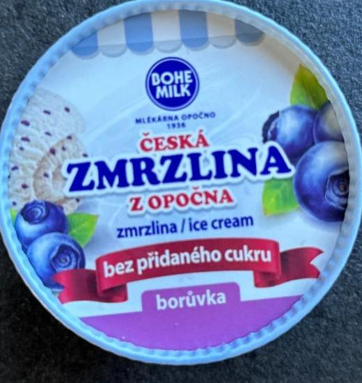Fotografie - Česká zmrzlina z Opočna borůvka bez přidaného cukru