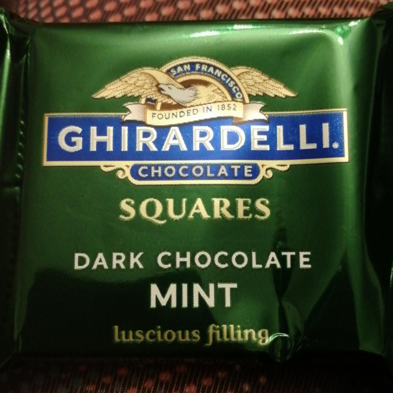 Fotografie - Dark Chocolate Mint Squares Ghirardelli