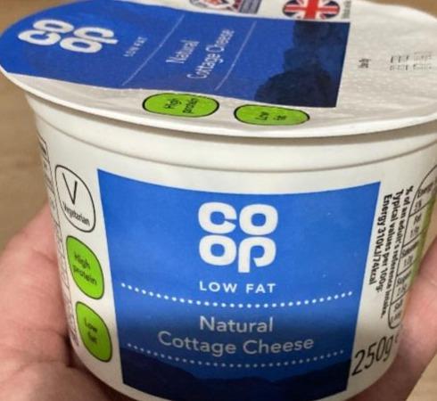 Fotografie - Natural cottage cheese Coop
