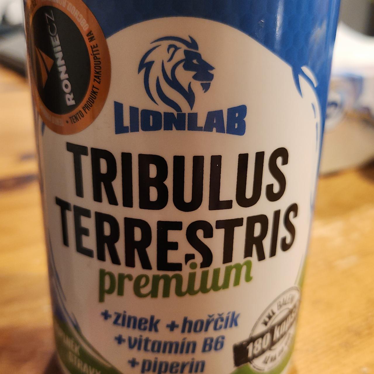Fotografie - Tribulus Terrestris premium + zinek, hořčík, vitamín B6, piperin Lionlab