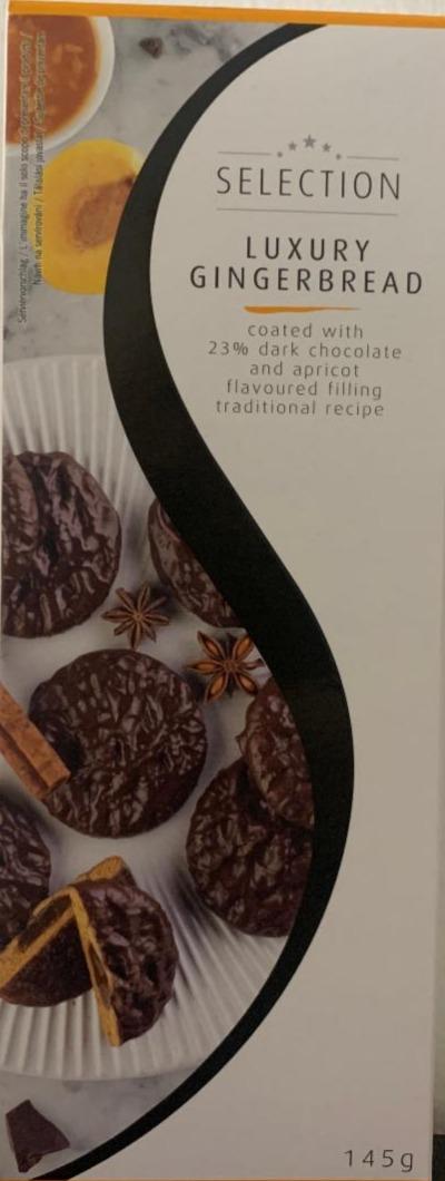 Fotografie - Luxury Gingerbread coated with 23% dark chocolate and apricot flavoured filling Selection