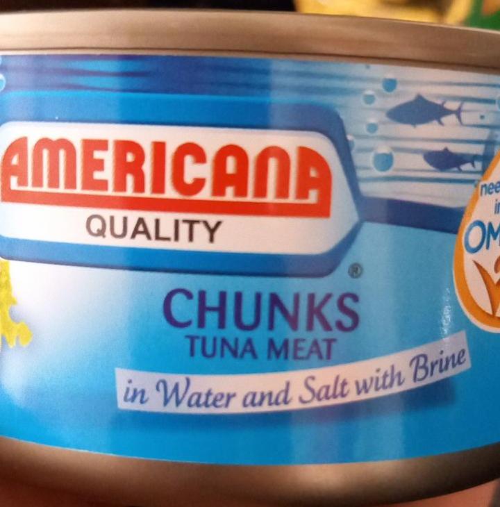 Fotografie - Chunks Tuna Meat in Water and Salt with Brine Americana