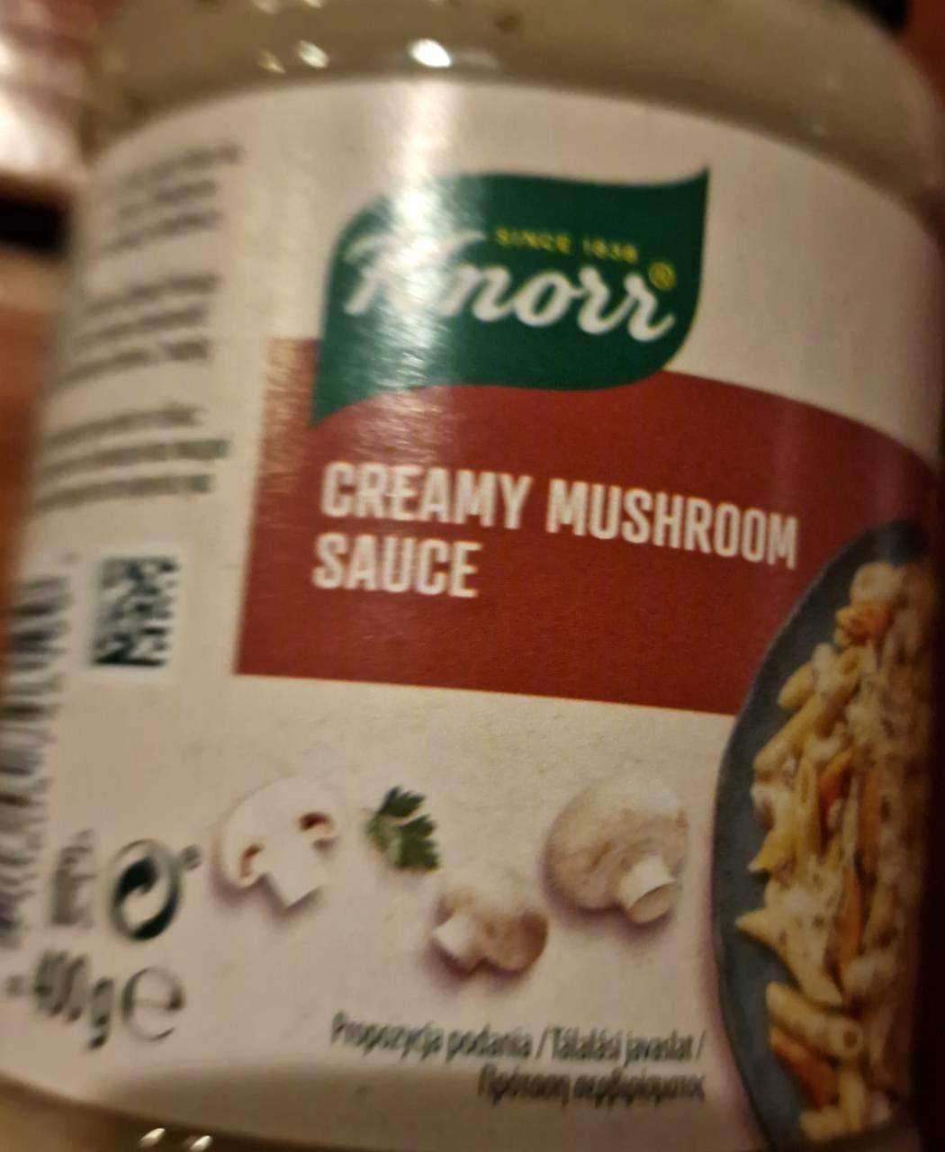 Fotografie - Creamy Mushroom Sauce Knorr