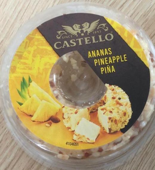 Fotografie - Castello ananas sýr