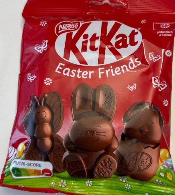 Fotografie - Easter Friends Kit Kat