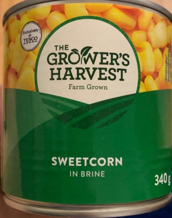 Fotografie - Sweetcorn in brine The Grower's Harvest