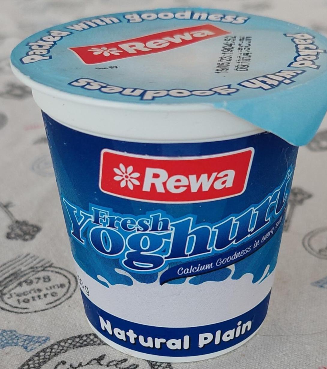 Fotografie - Fresh Yoghurt Natural Plain Rewa