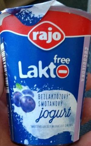 Fotografie - Lakto Free jogurt čučoriedka Rajo