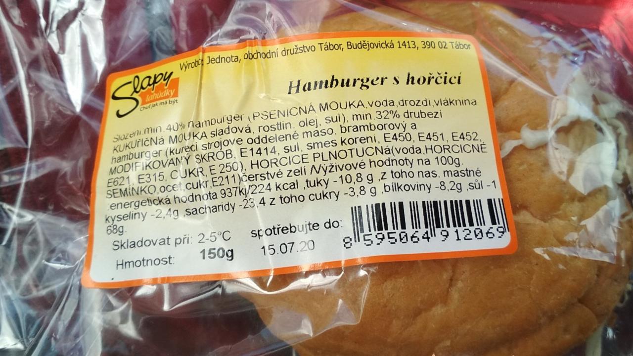 Fotografie - hamburger s horčicí Slapy
