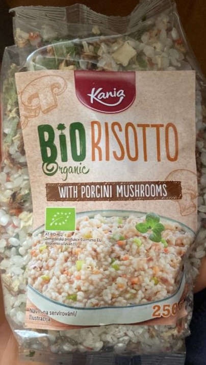 Fotografie - Bio organic Risotto with Porcini Mushrooms Kania