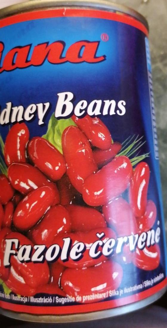Fotografie - Red kidney beans fazole červené Giana