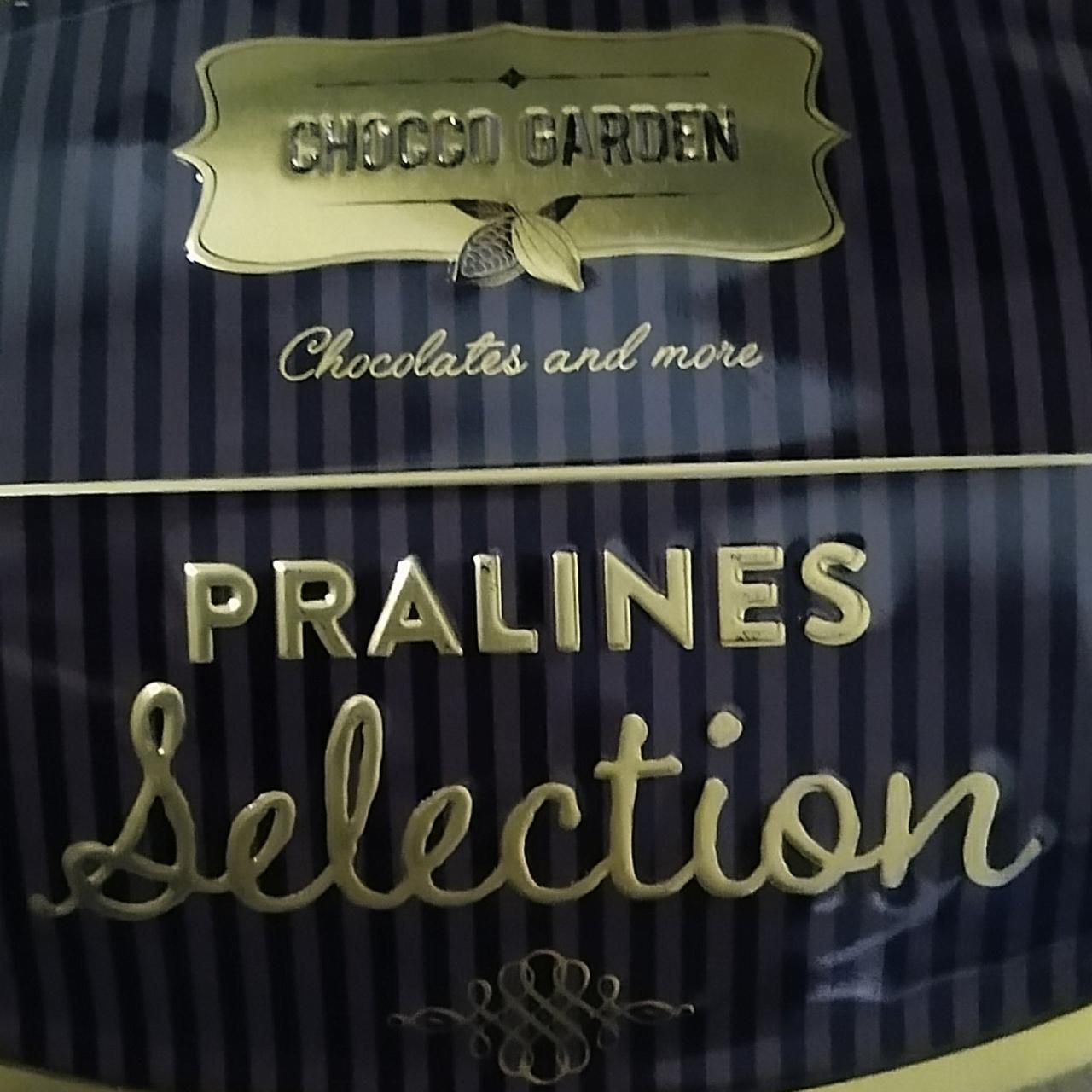 Fotografie - Pralines Selection Dezert z mléčné a hořké čokolády s náplní Chocco Garden