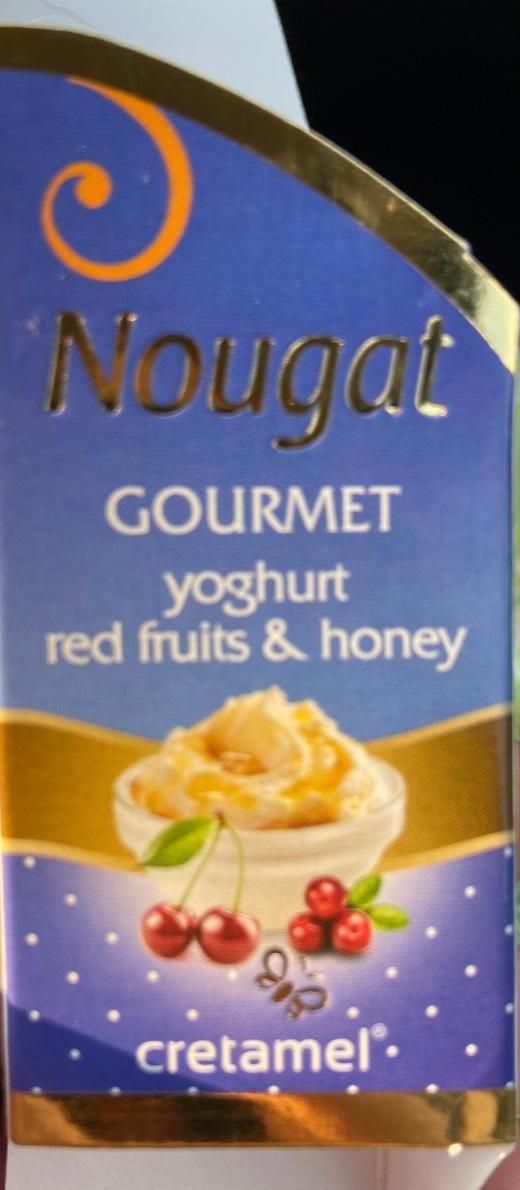 Fotografie - měkký nugát s jogurtem, červeným ovocem a medem Cretamel