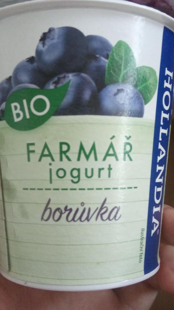 Fotografie - Farmář jogurt borůvka bio Hollandia