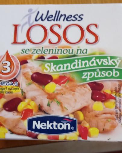 Fotografie - Wellness losos se zeleninou na Skandinávský způsob Nekton