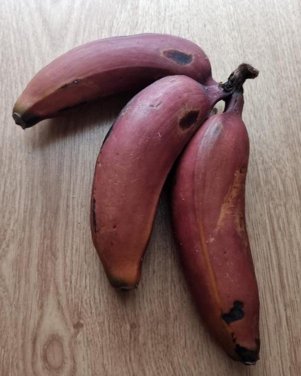 Fotografie - červený banán