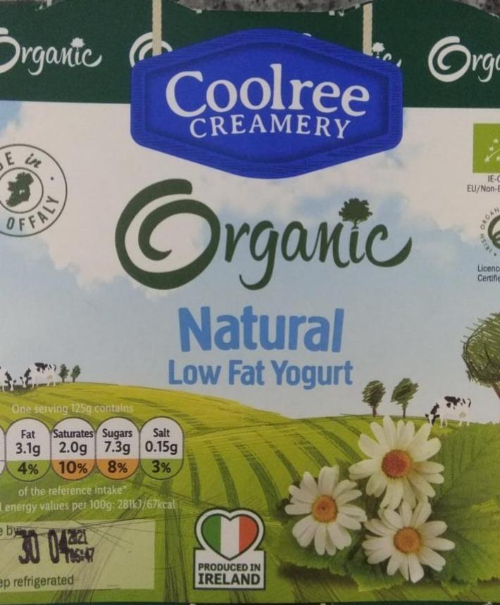 Fotografie - Organic natural low fat yogurt