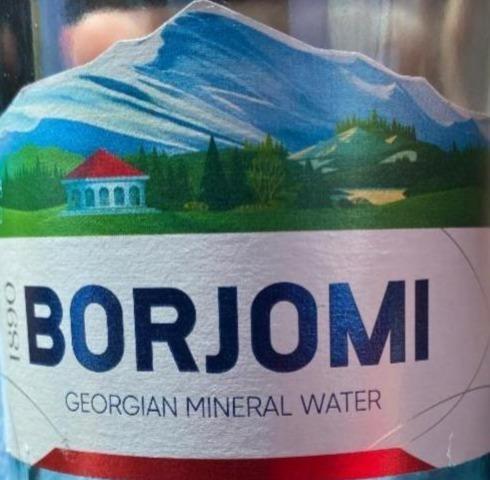 Fotografie - Minerální voda Borjomi