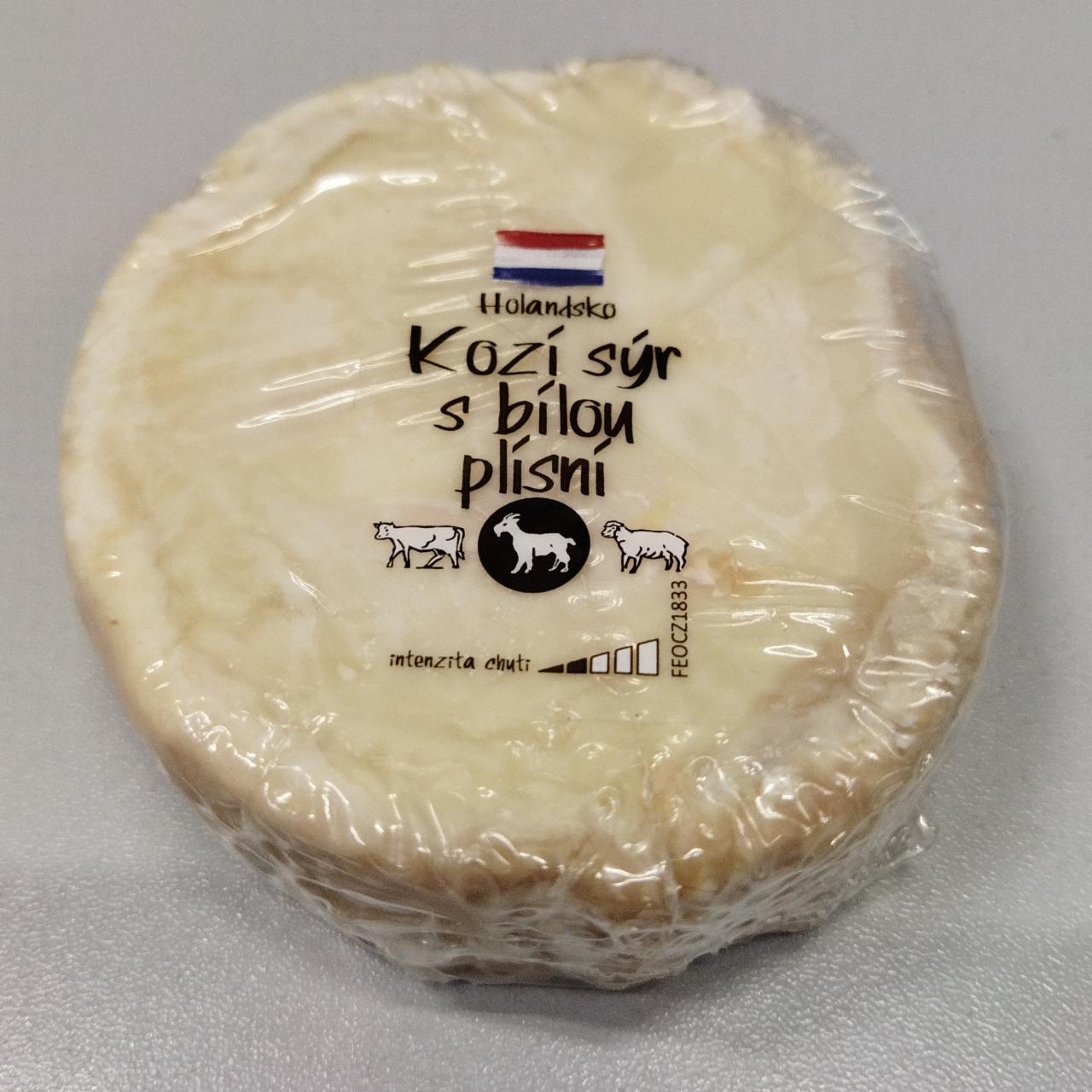 Fotografie - Holandsko Kozí sýr s bílou plísní