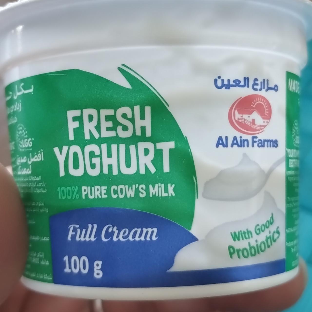 Fotografie - Fresh yoghurt full cream Al Ain Farms