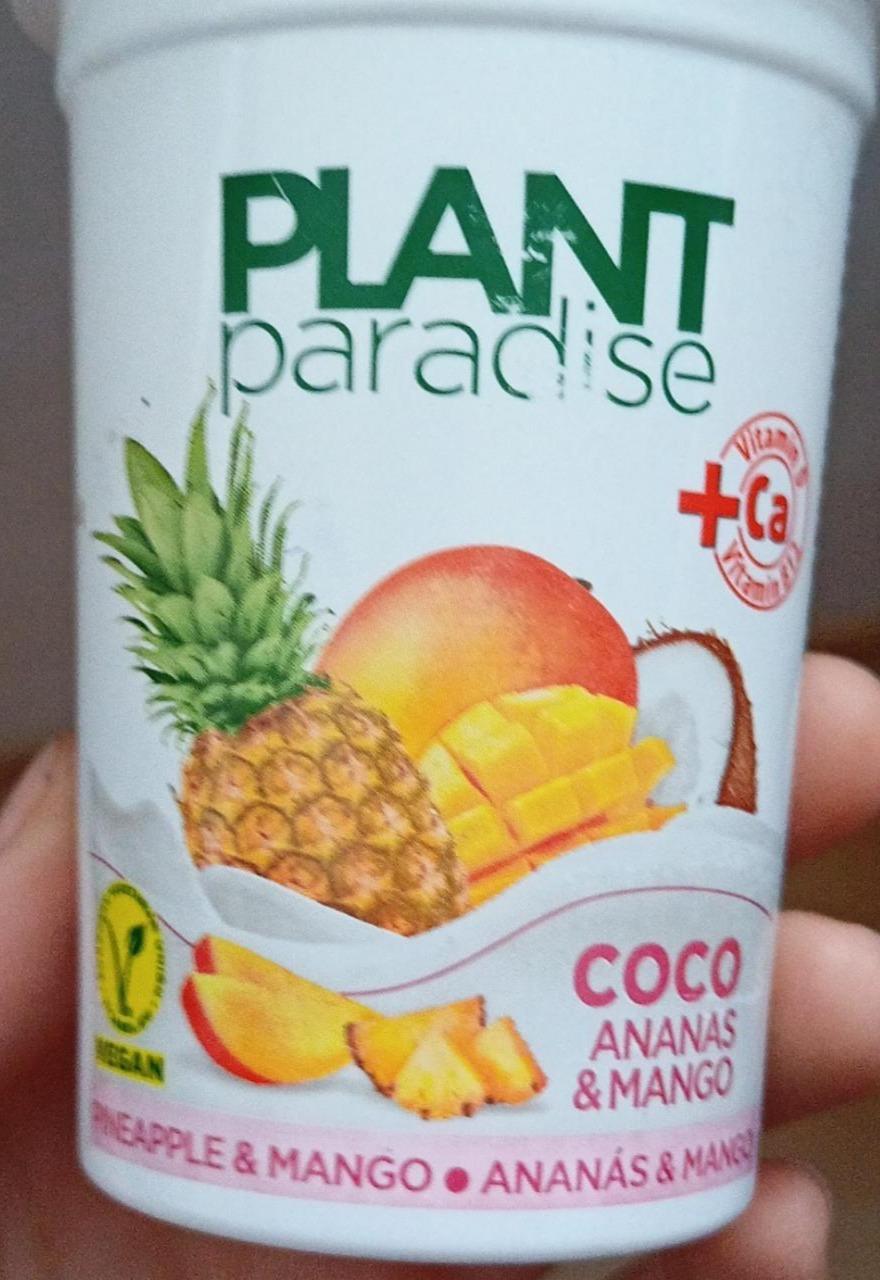 Fotografie - COCO ananas & mango Plant paradise
