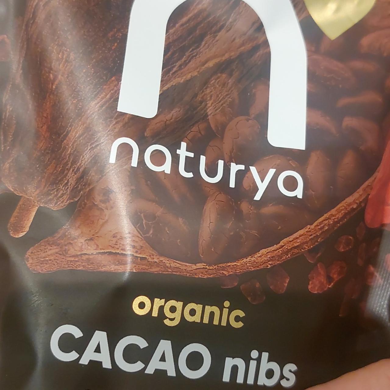 Fotografie - Organic cacao nibs Naturya