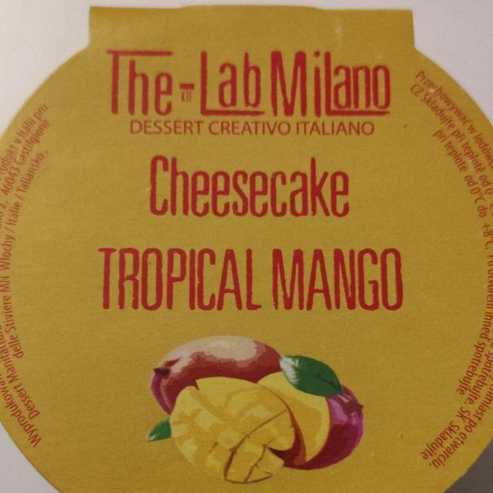 Fotografie - Cheesecake Tropical Mango 