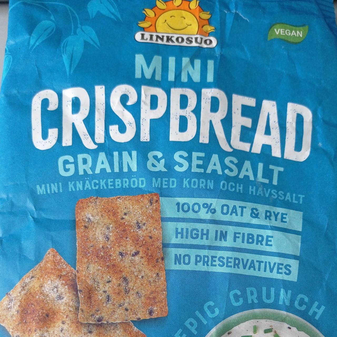 Fotografie - Mini Crispbread grain & seasalt Linkosuo