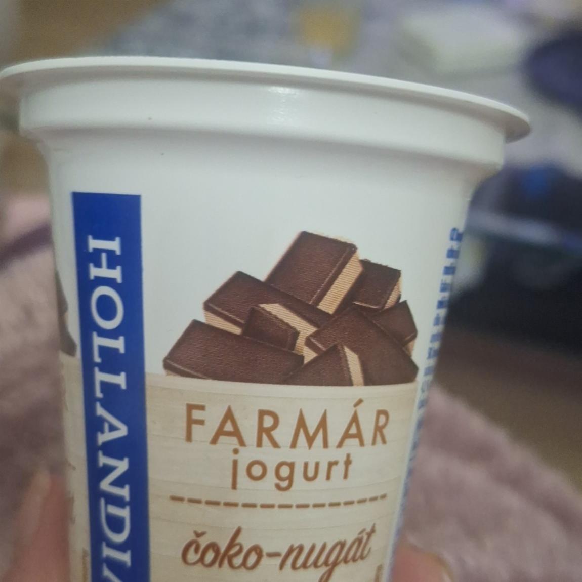 Fotografie - Farmář krémový jogurt čoko-nugát Hollandia