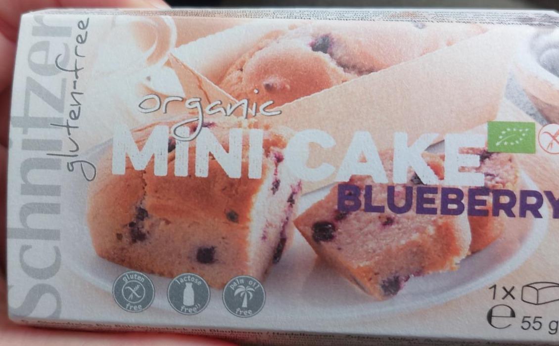 Fotografie - Organic Mini Cake Blueberry gluten free Schnitzer