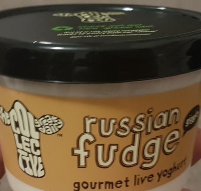 Fotografie - Collective russian fudge Yogurt
