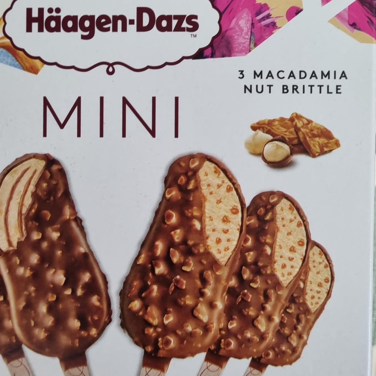 Fotografie - Mini Macadamia Nut Brittle Häagen-Dazs