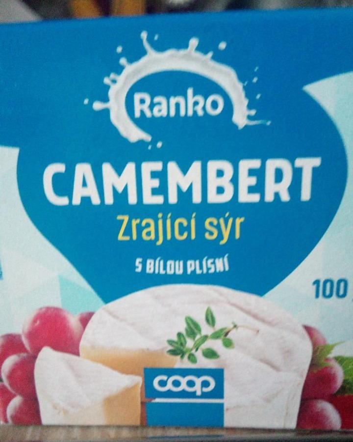 Fotografie - Camembert zrající sýr s bílou plísní Ranko