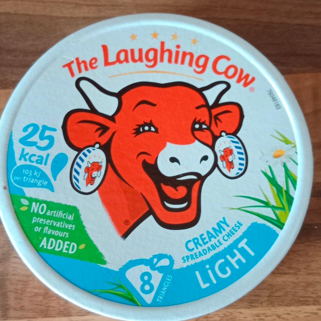 Fotografie - Light Creamy Spreadable Cheese Laughing Cow