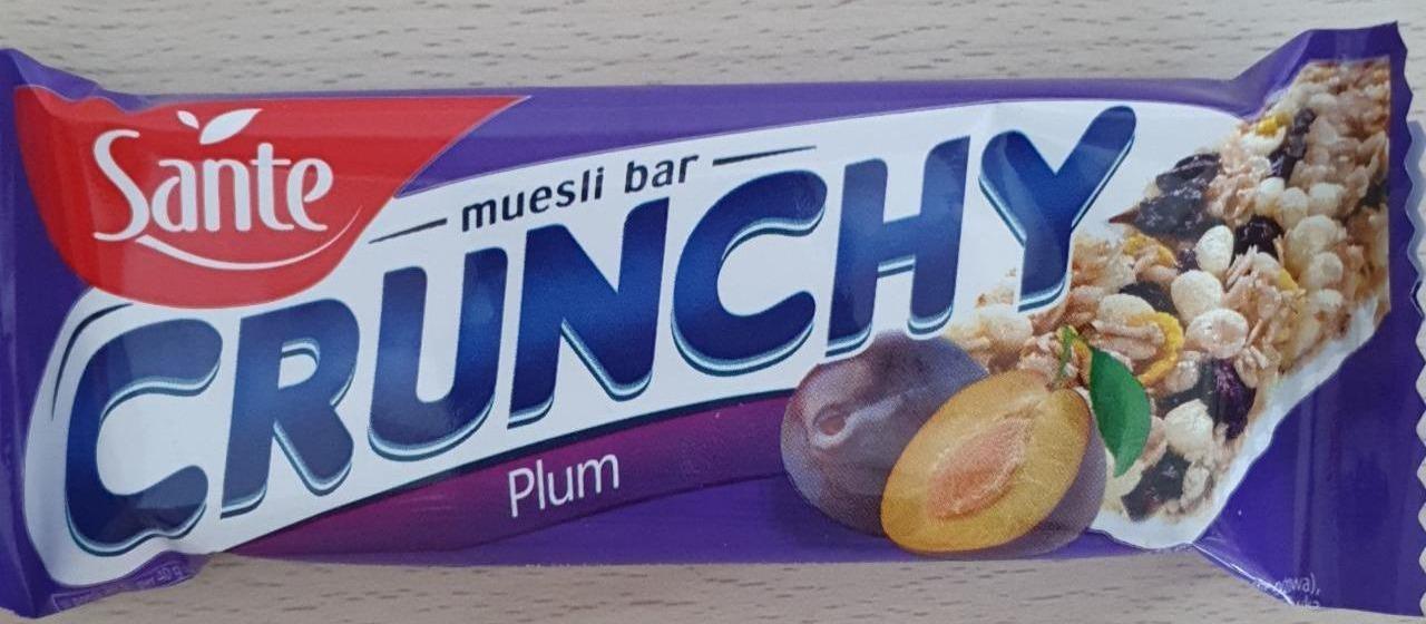 Fotografie - Crunchy muesli bar Plum Sante