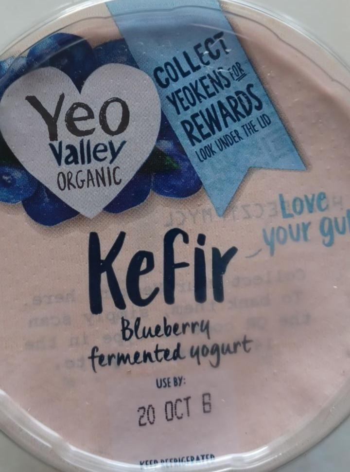 Fotografie - Organic Kefir Blueberry Yogurt Yeo Valley