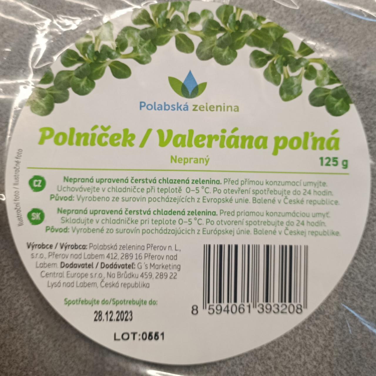 Fotografie - Polníček/Valeriána polná Polabská zelenina